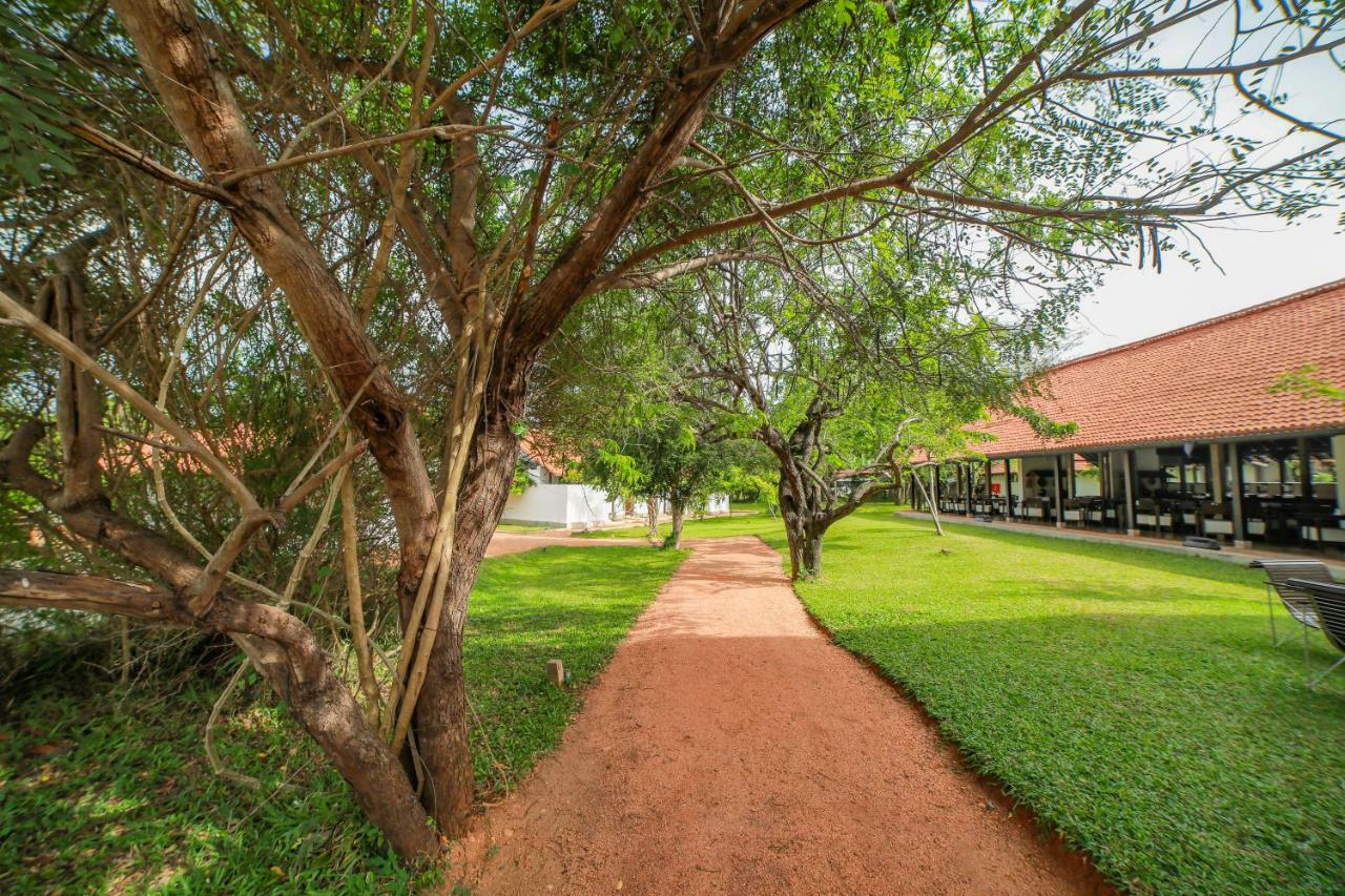 Sigiriyajungles Resort & Spa Exterior photo